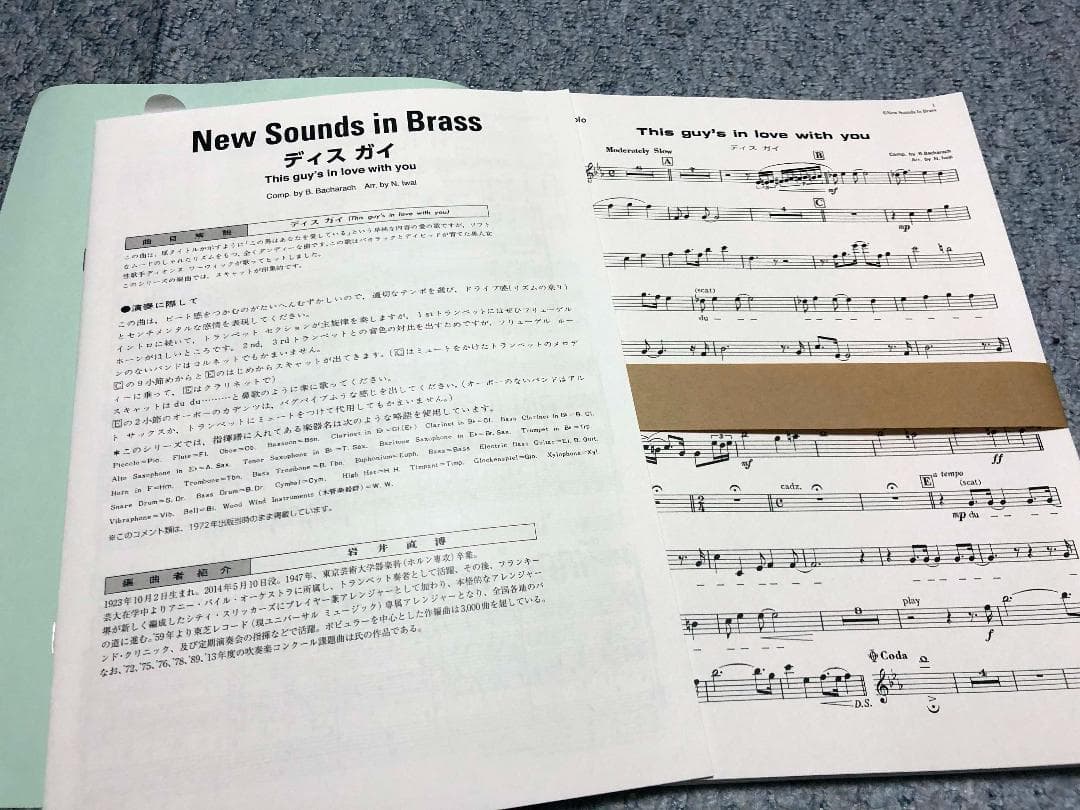 ● 吹奏楽楽譜 ニューサウンズインブラス / デイズガイ