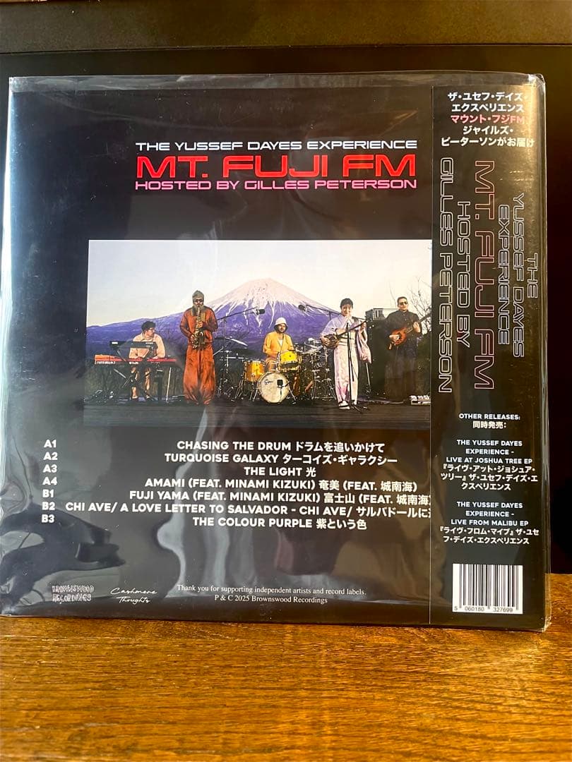 YUSSEF DAYES / MOUNT FUJI FM 限定LP レコード