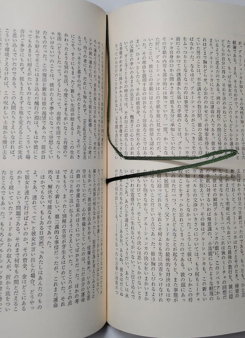 カラマーゾフの兄弟　江川卓訳　ドストエフスキー