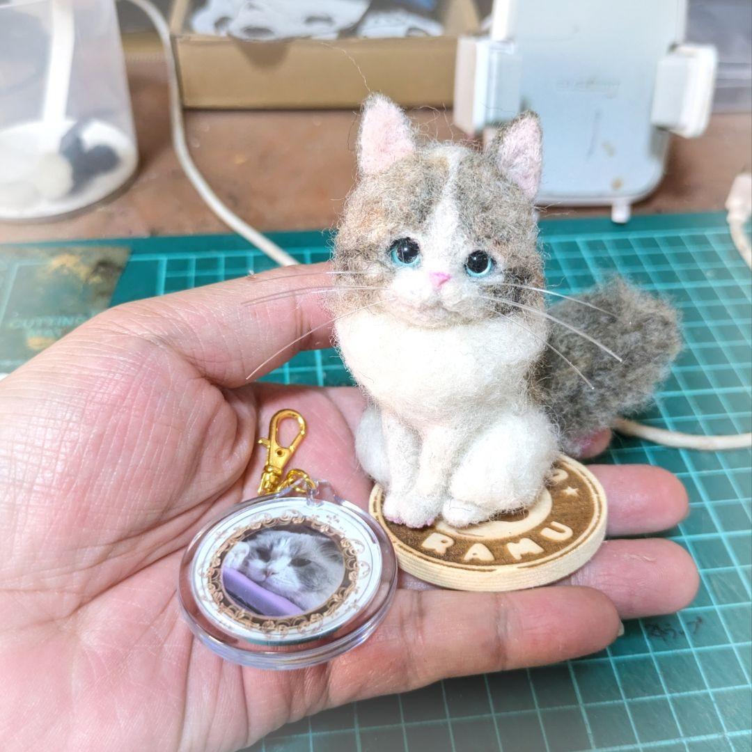 釣ばか出品 豆猫PECO-LIN