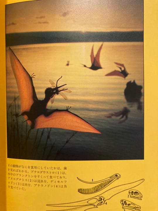 「恐竜の時代　ドラマチックな写真記録」　サイン付き