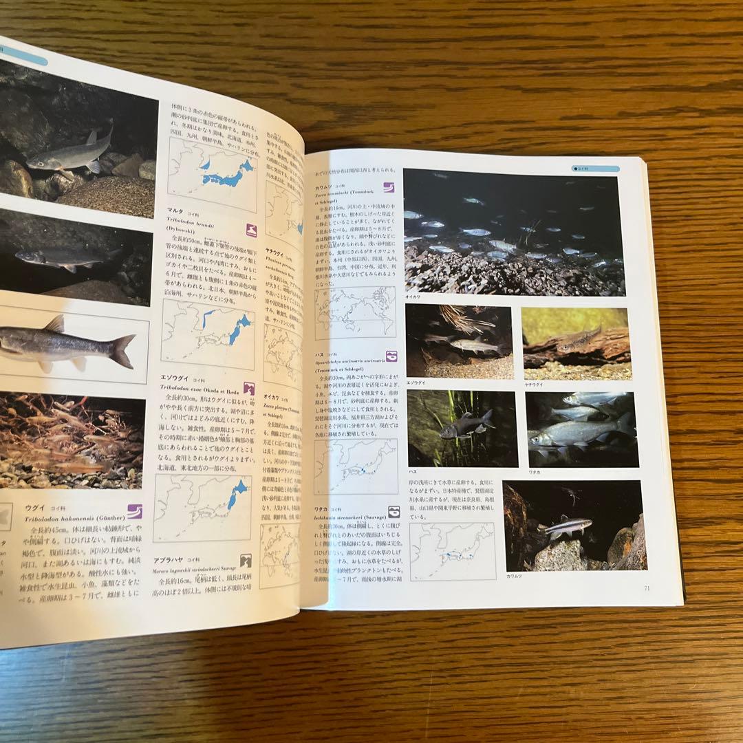 世界文化生物大図鑑　ENCYCLOPEDIA OF FISH 魚類 改訂新版