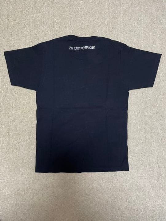 stussy Tシャツ　コラボ