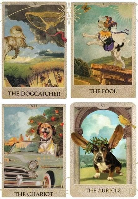 【正規品タロット】犬好きさん必見✨犬の気持ちを理解し仲を深める手助けをしてくれる