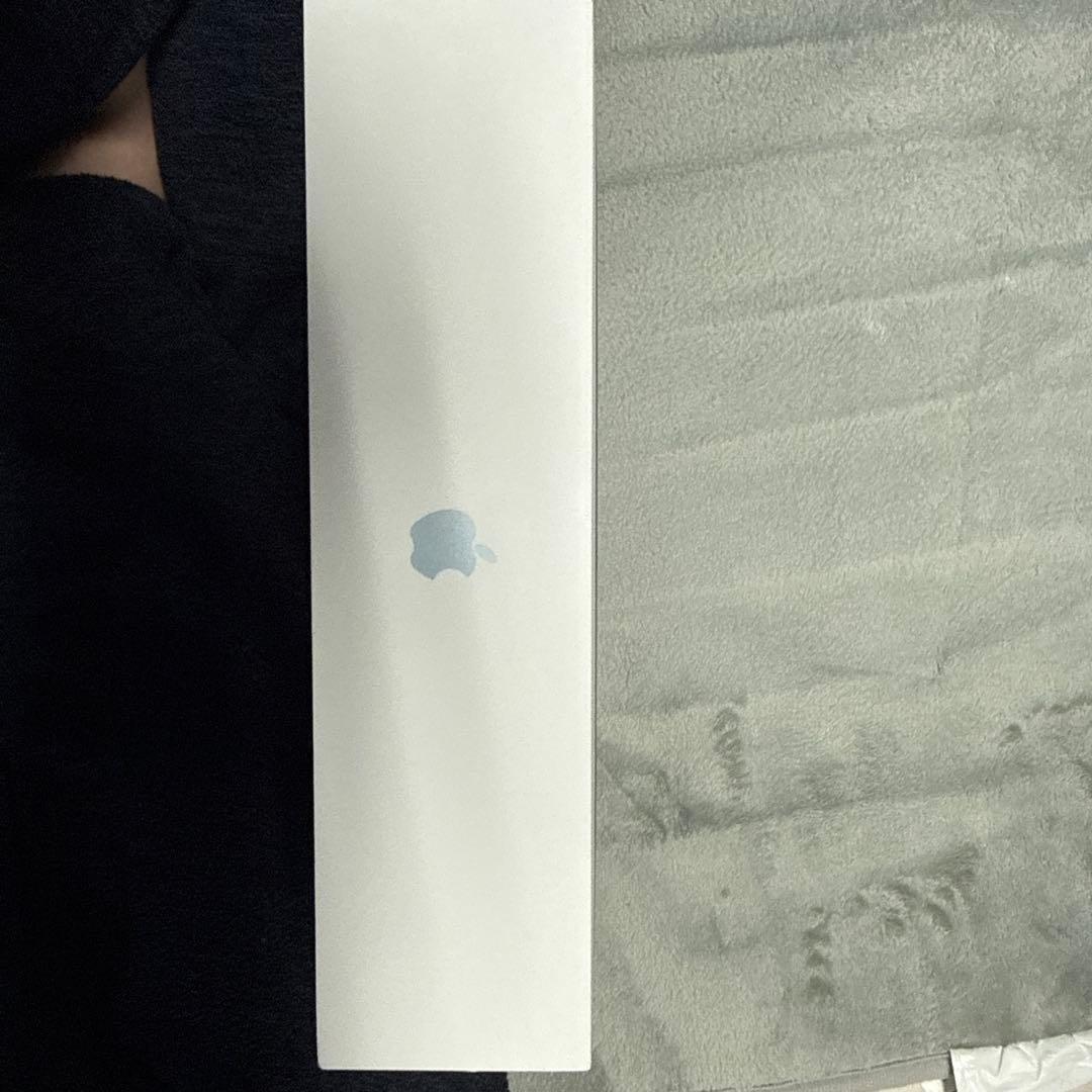 Apple iPad 本体 青