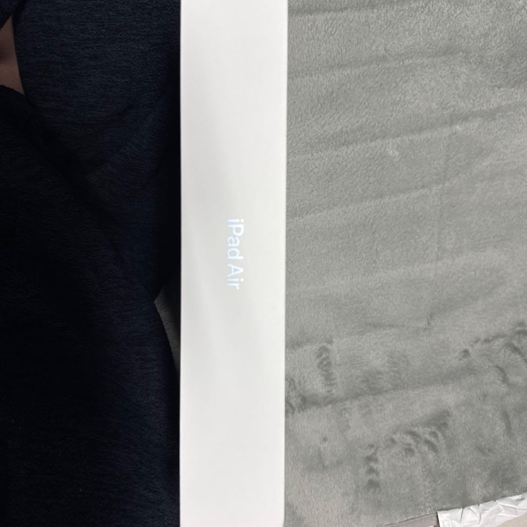 Apple iPad 本体 青
