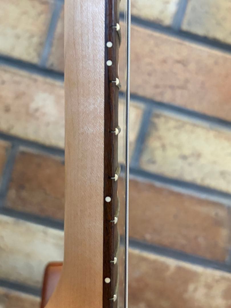 q*s様 PRS CE24 値下げしてオークションに変更