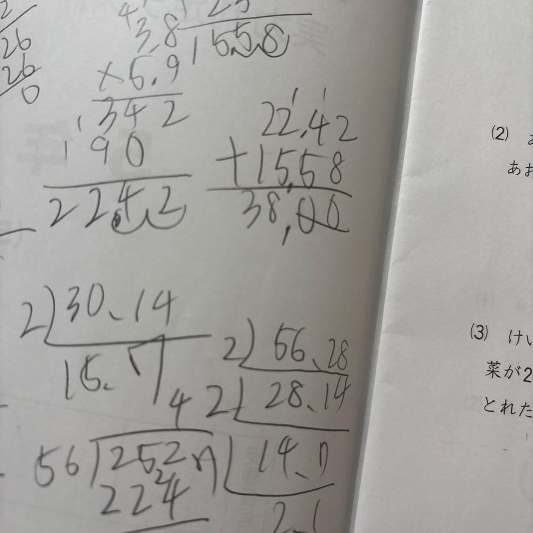 日能研　５年　2024年　公開模試　一年分　全12回分