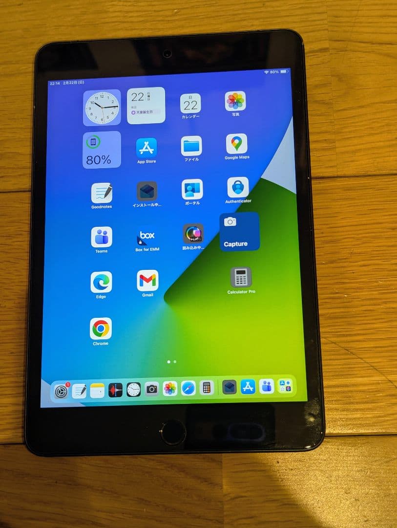 Apple iPad mini5 セルラー Apple Pencil付フルセット