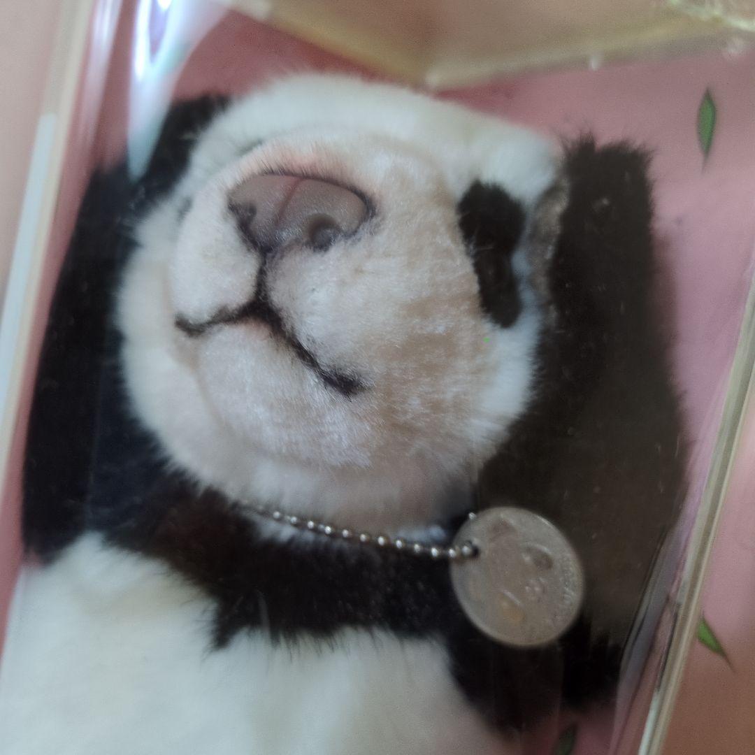 ゆうちゃんさま専用　台北市立動物園　パンダ　ユエンザイ　限定ぬいぐるみ　未使用