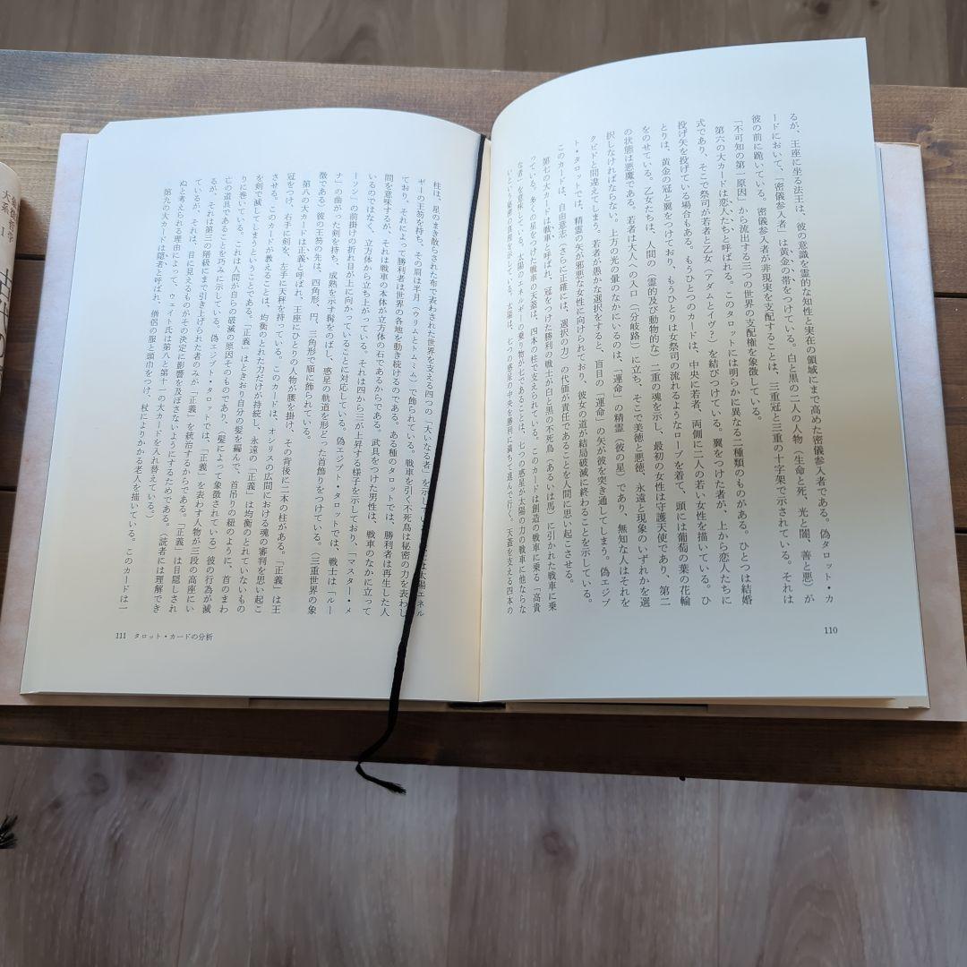 新版⚪️象徴哲学大系Ⅰ・ III⚪️マンリー・P・ホール⚪️人文書院【希少】