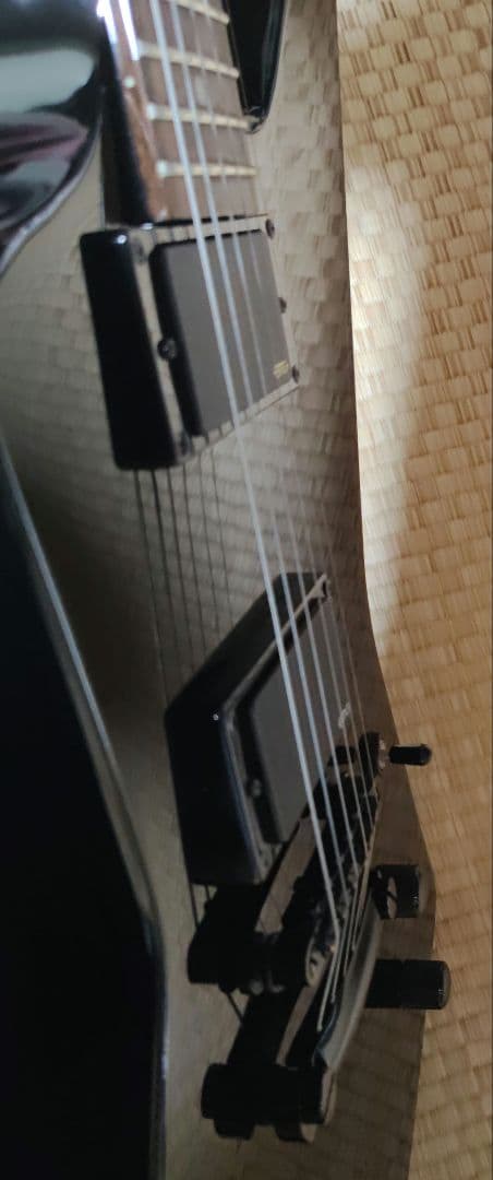 ギター Epiphone Limited Edition 1984 Explorer