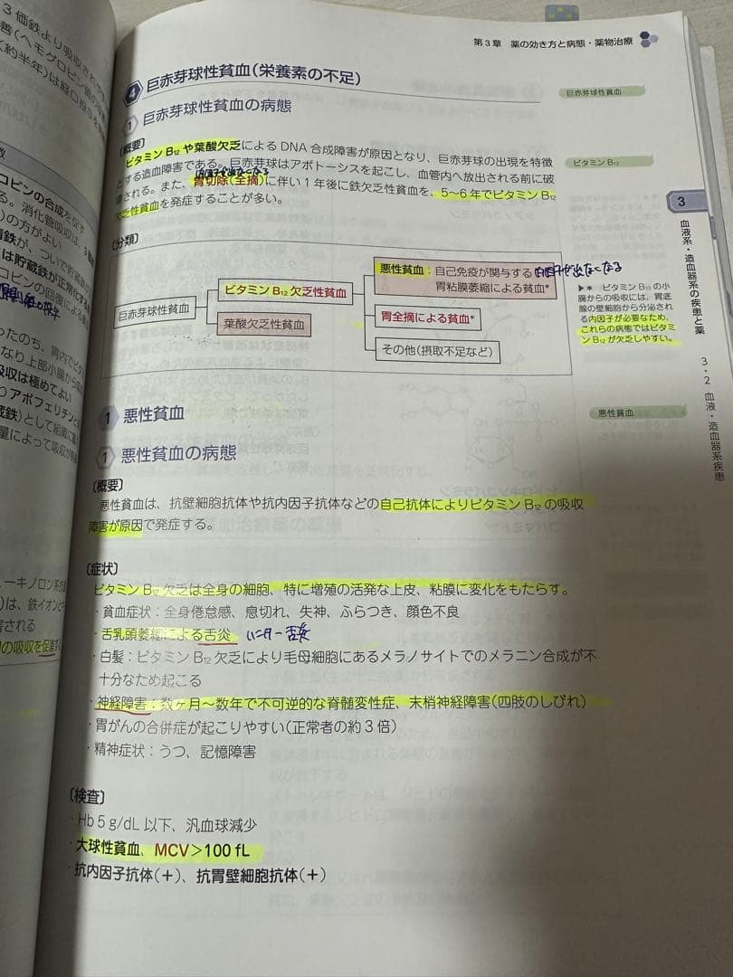 薬剤師国家試験対策参考書　青本・青問