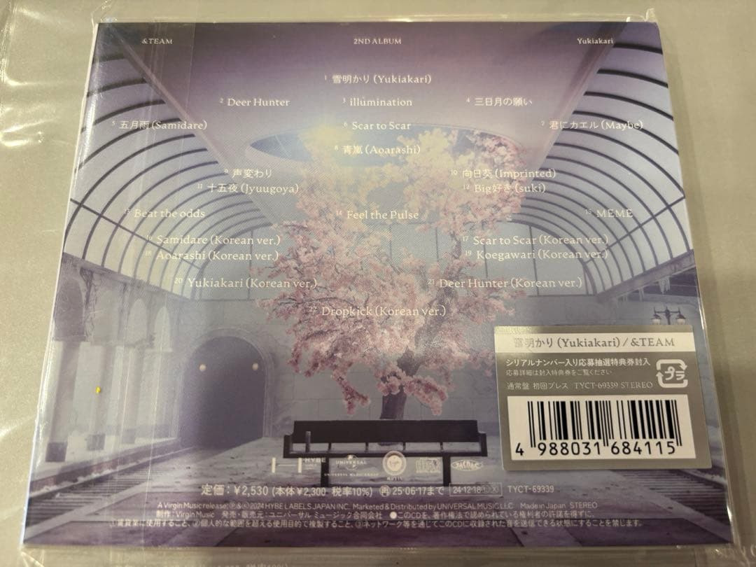 &TEAM 雪明かり　セット