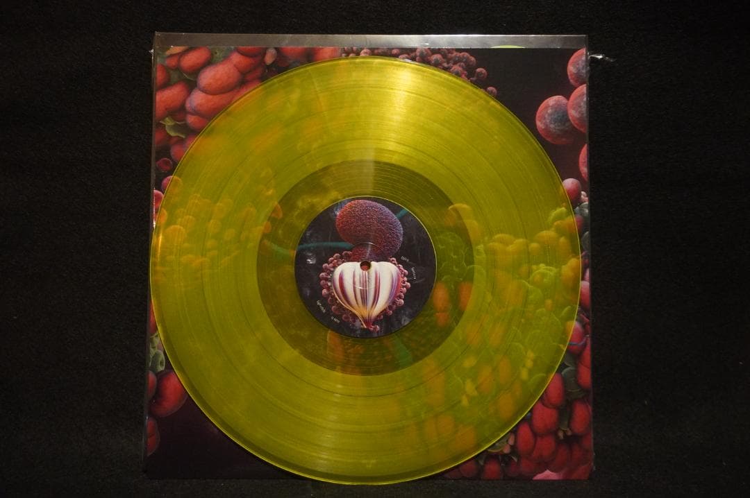 【輸入盤2LP】bjork『fossora フォソーラ』アナログ・カラーレコード