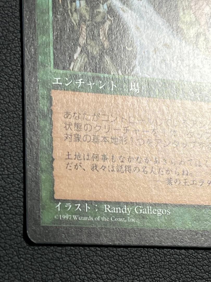 MTG 大地の知識　日本語　テンペスト