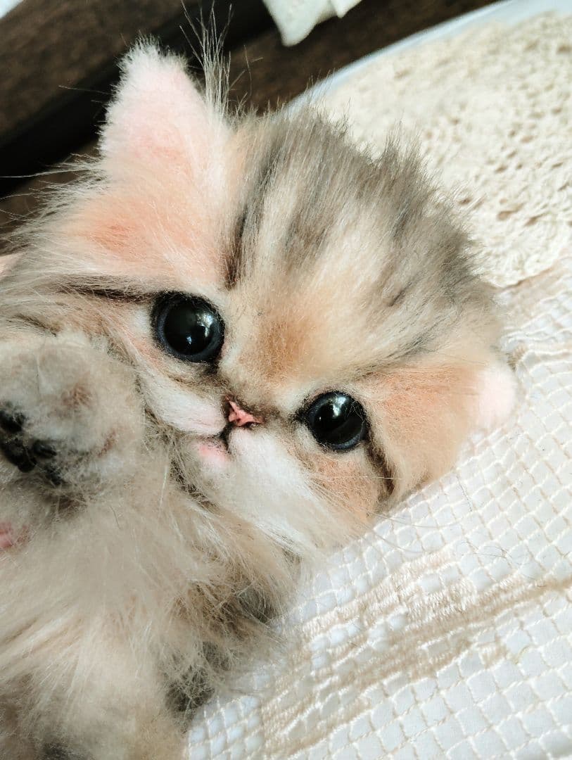 チンチラゴールデン♡子猫のふわりちゃん♡アートドール♡ぬいぐるみ♡