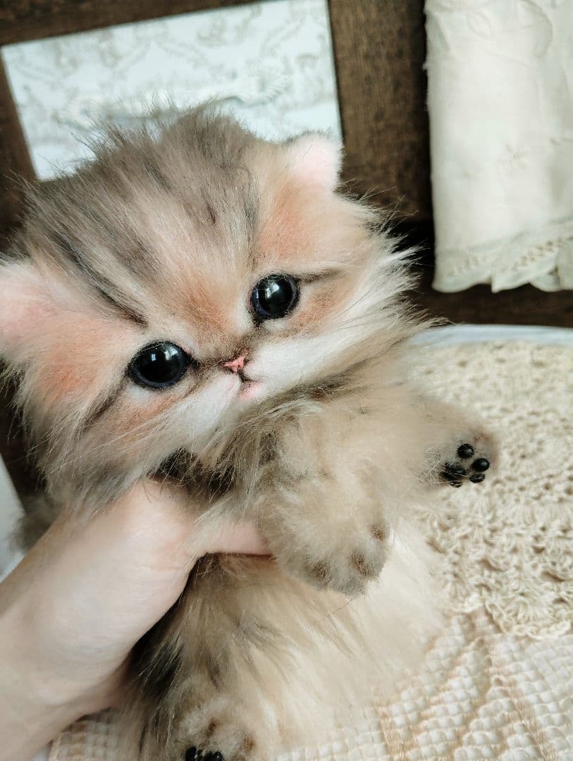 チンチラゴールデン♡子猫のふわりちゃん♡アートドール♡ぬいぐるみ♡