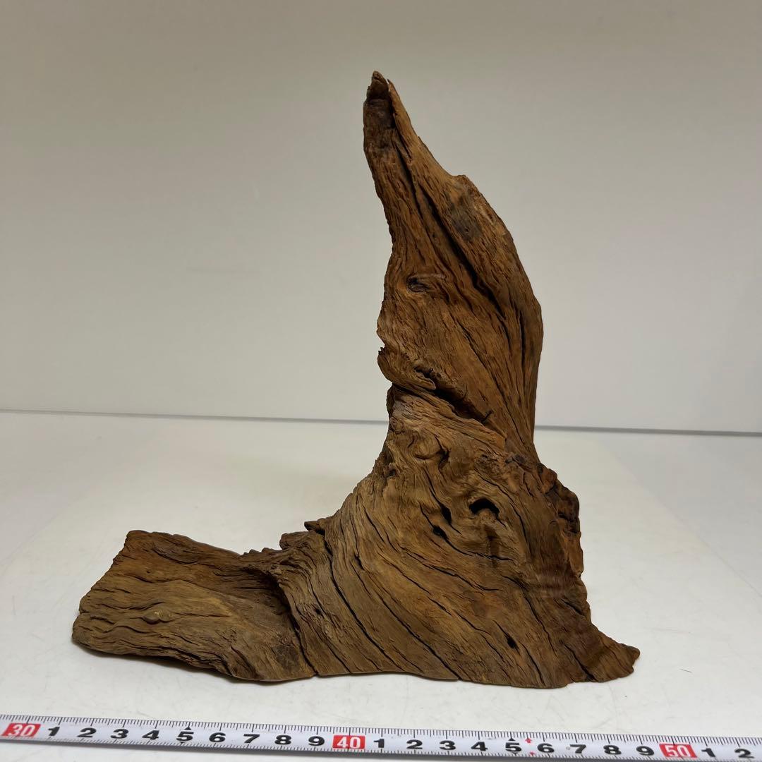 佐曽羅 特大香木 657g 東キ8-0315②