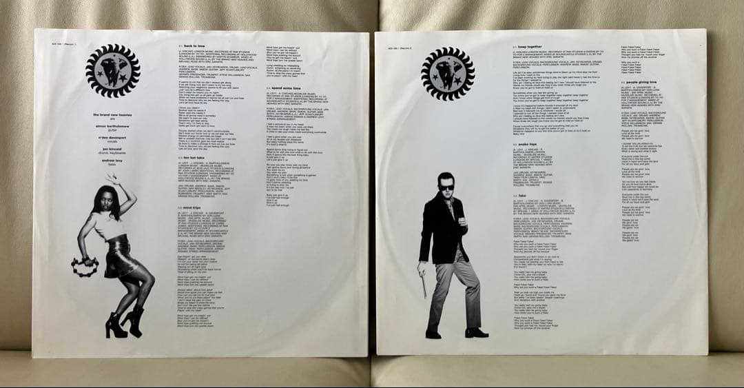 【LP】The Brand New Heavies-Brother Sister