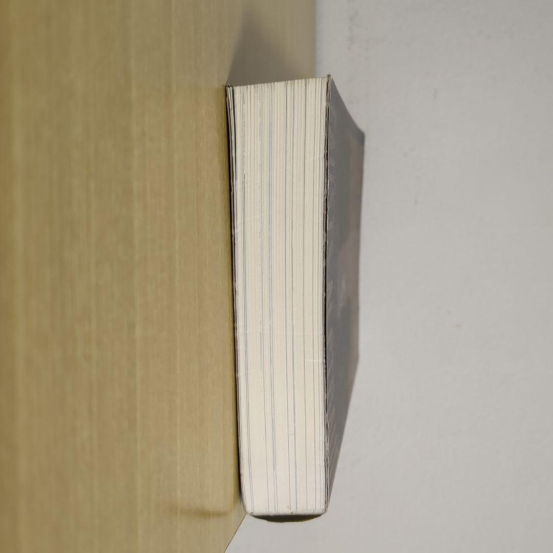 ファウストの悪夢（小説）