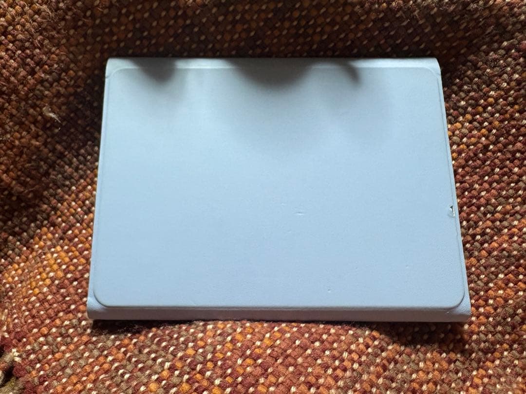 Apple iPad mini 第5世代 ケース付き