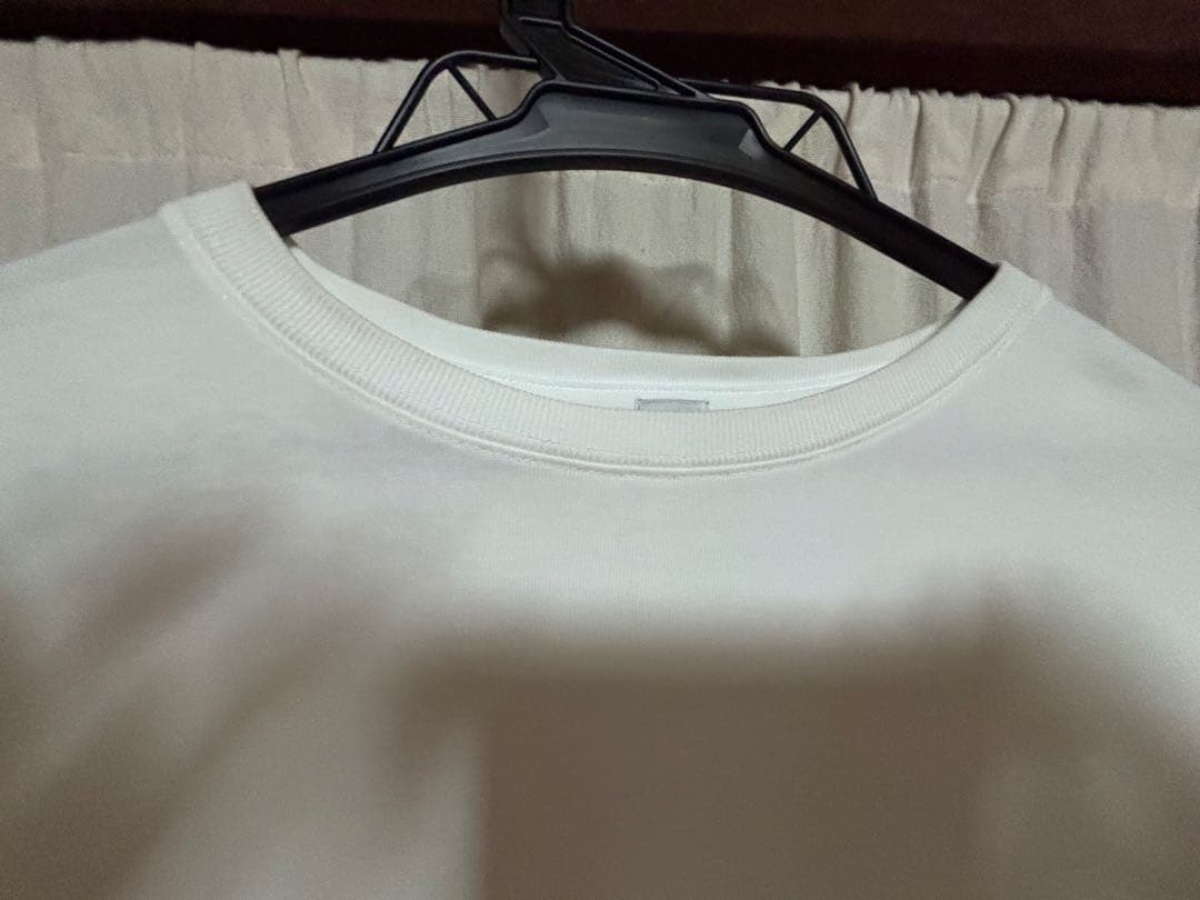 ザハイライツ　thehighlights bigtee'white
