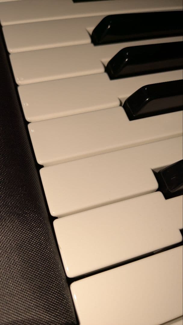 Sanae Roland JUNO-DS 76鍵 シンセサイザー