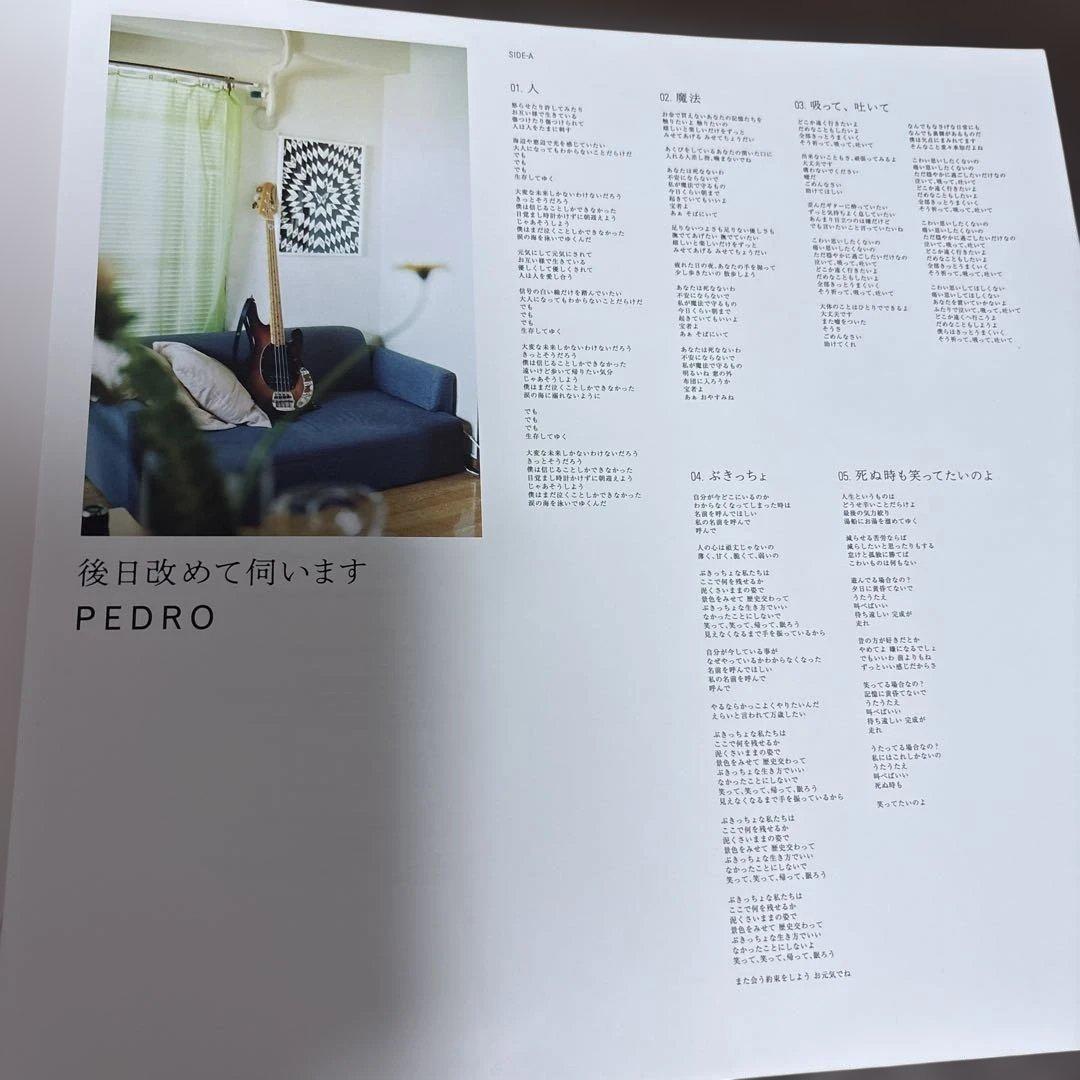 【レコード　アナログ】PEDRO 後日改めて伺います　ペドロ　BISH