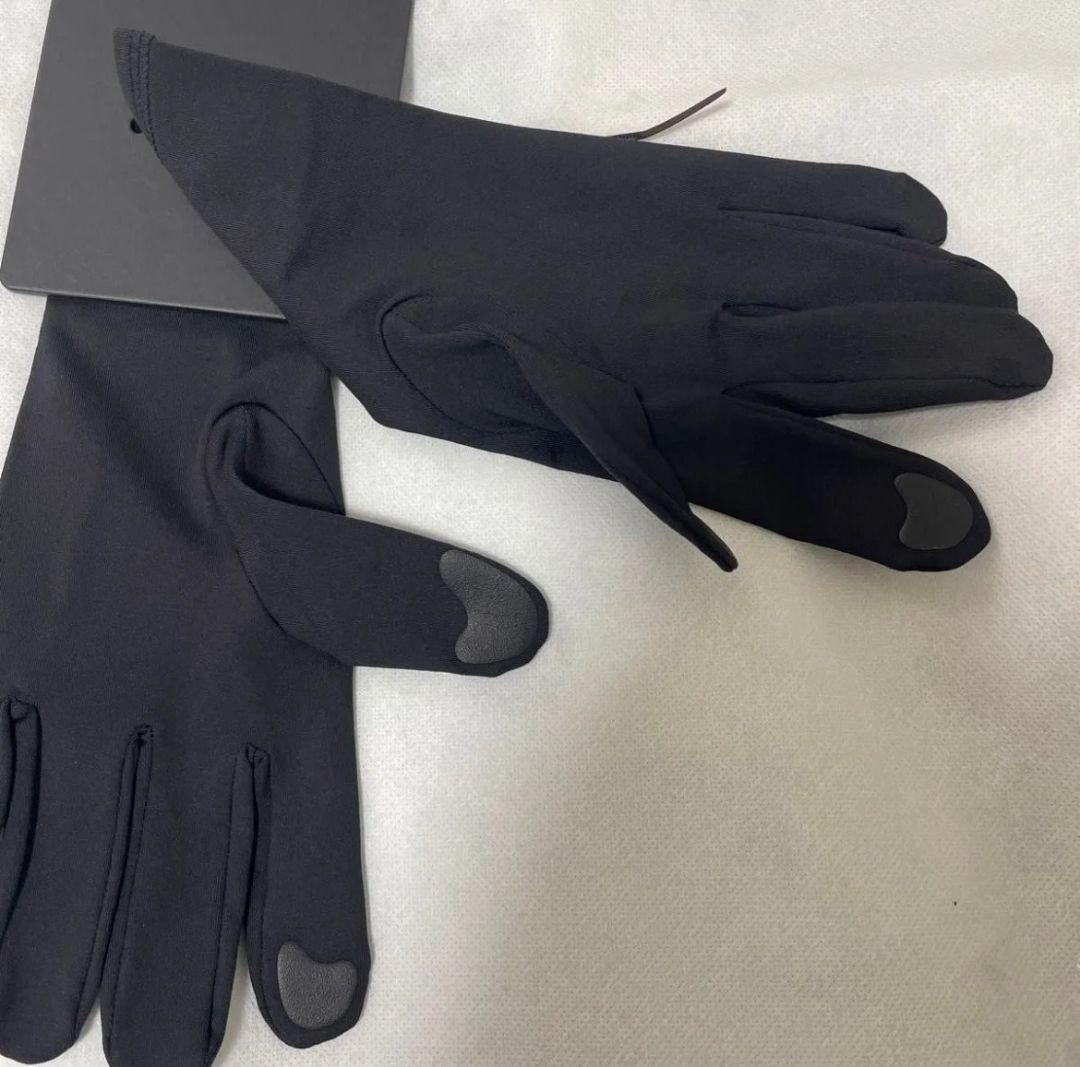 アークテリクス 手袋 メンズ ARC'TERYX RHOGLOVEローグローブ