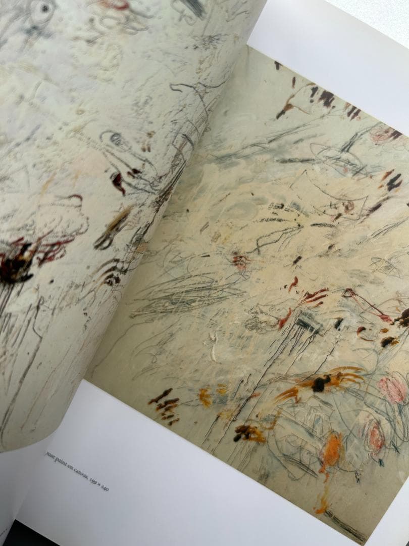 アート・デザイン・音楽 Cy Twombly : Cycles and Seasons