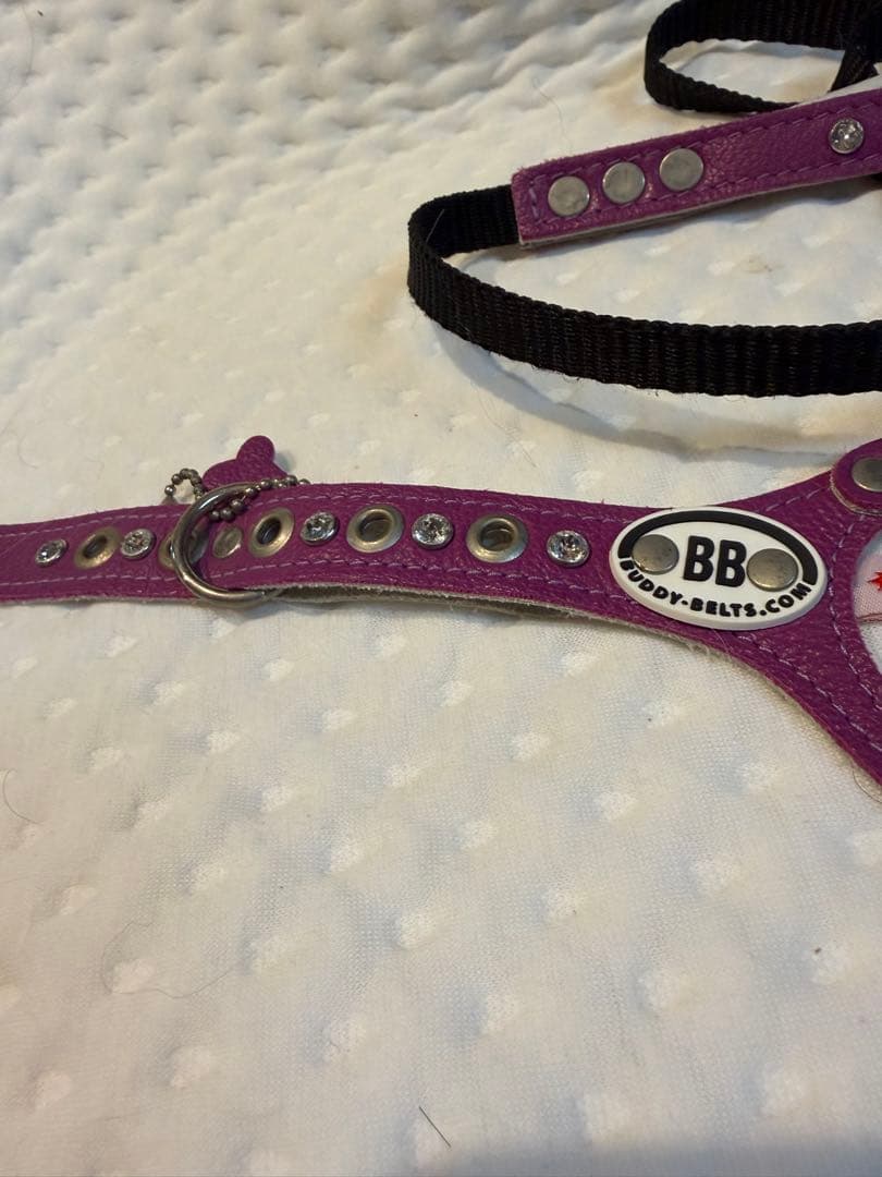 Buddy Belts パープル ハーネス