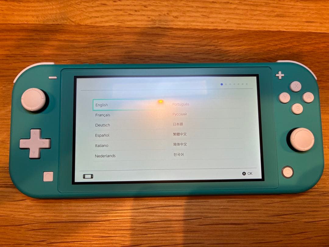 Nintendo Switch Lite ターコイズ 本体 充電器 ケース付き