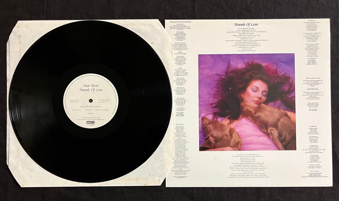 UK盤高音質LP☆ケイトブッシュKate Bush/Hounds Of Love