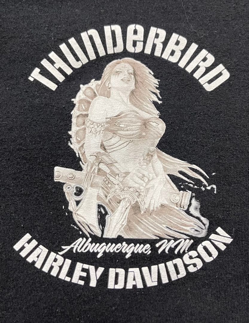 り*、様 Harley Davidson THUNDERBIRD tシャツ