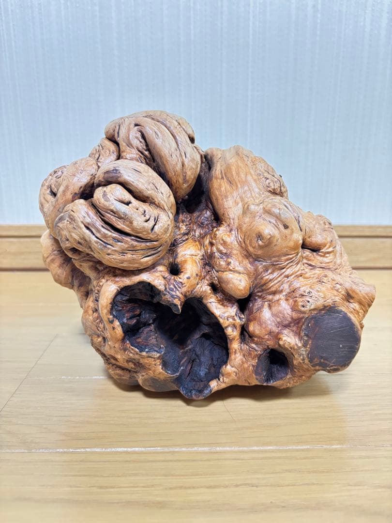 流木 天然木 オブジェ 希少