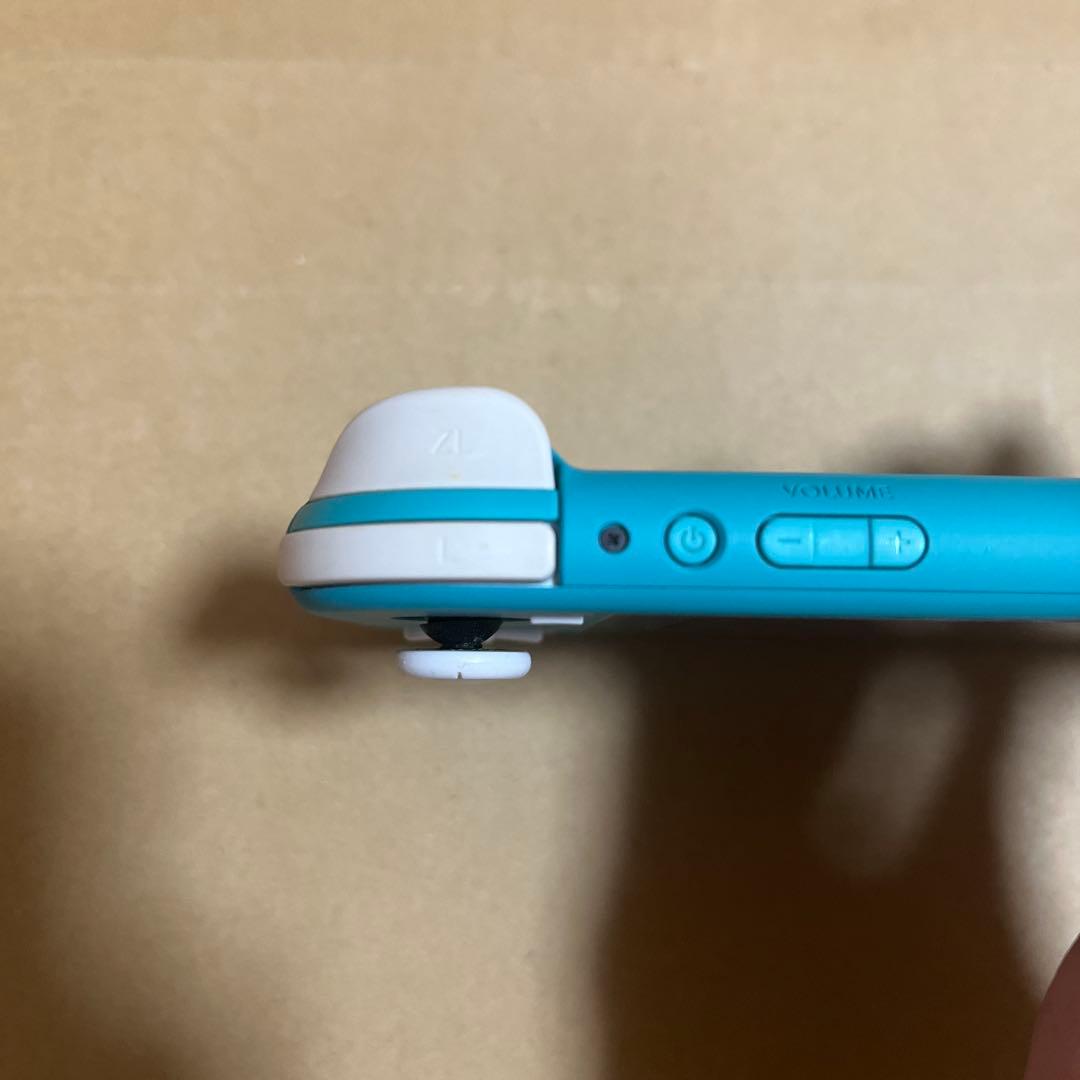 Nintendo Switch Lite ターコイズ　イーブイケース付き