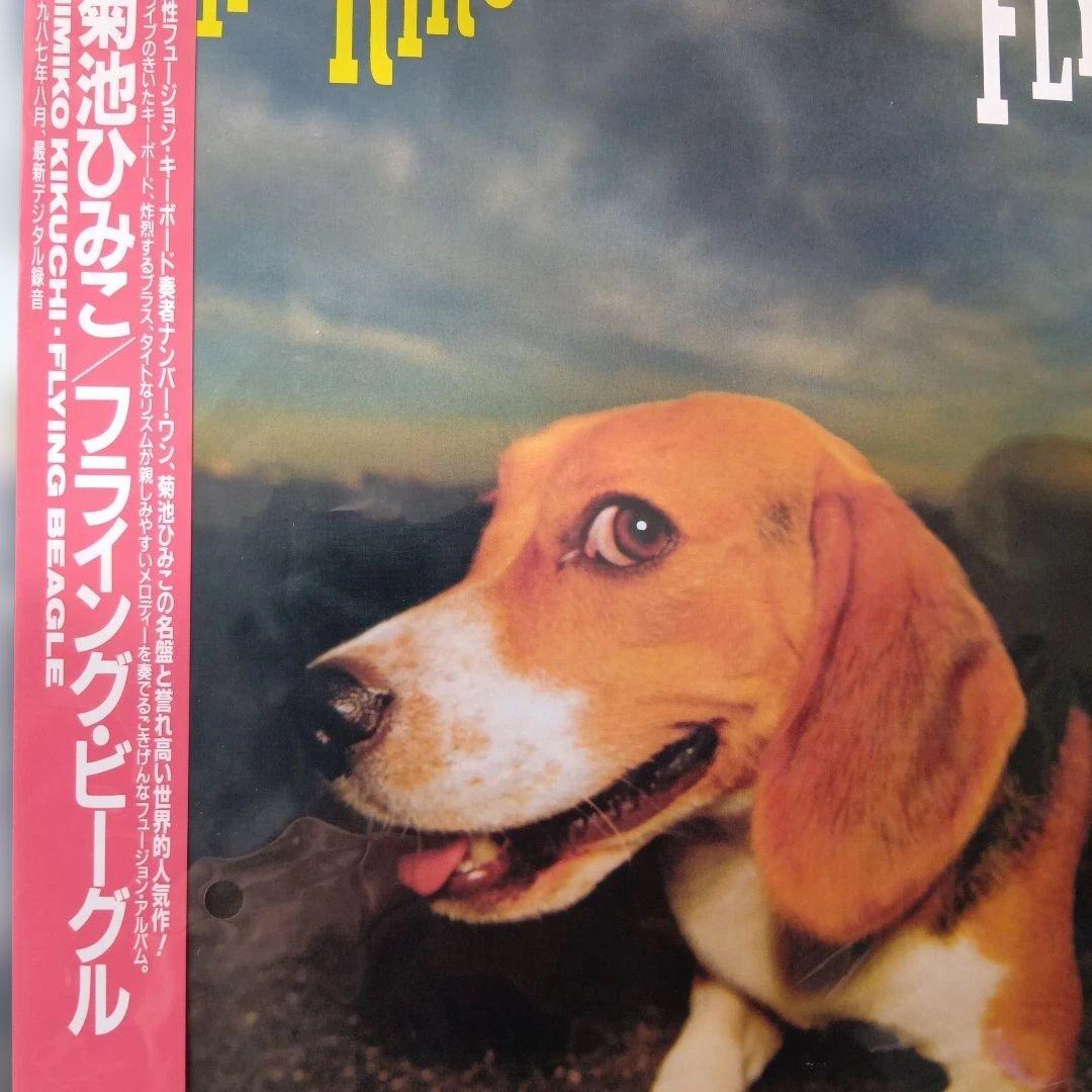 初回生産限定盤　FLYING BEAGLE 菊地ひみこ
