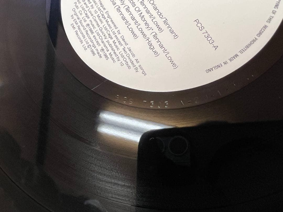 UK盤 Pet Shop Boys Please LP洋楽 PCS 7303