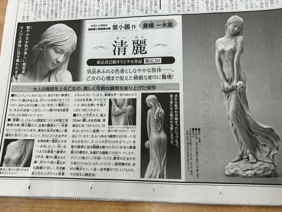 『清麗』　葉小鵬