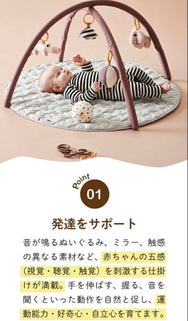 新品同様 ダンバイディア アクティビティプレイマット ベビージム 北欧 グレー