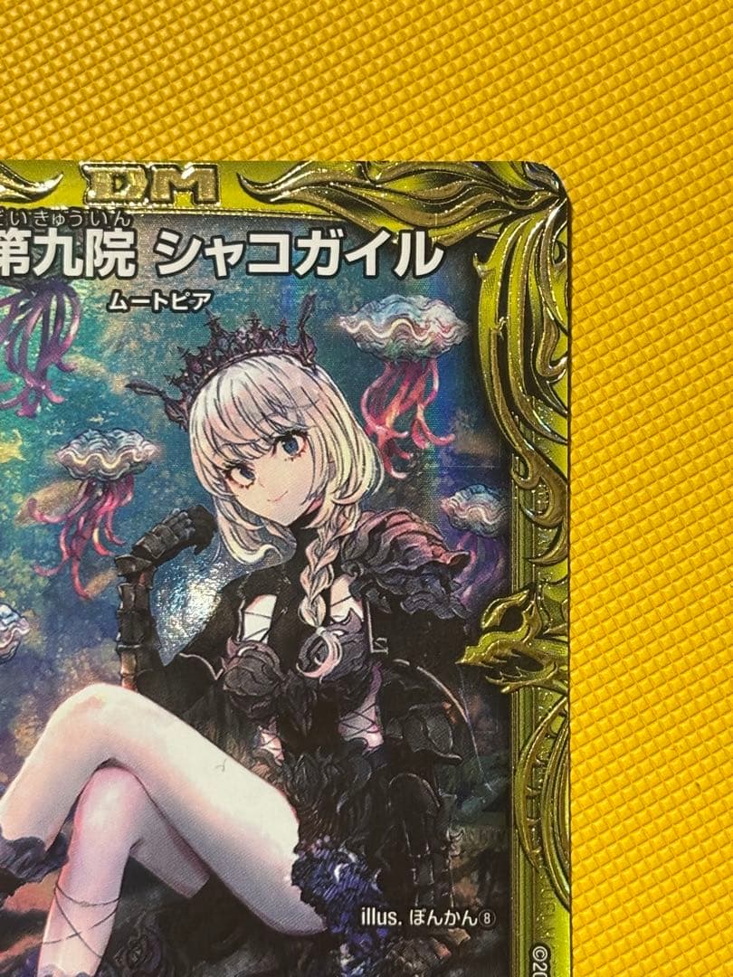 シャコガイルＢ　20th