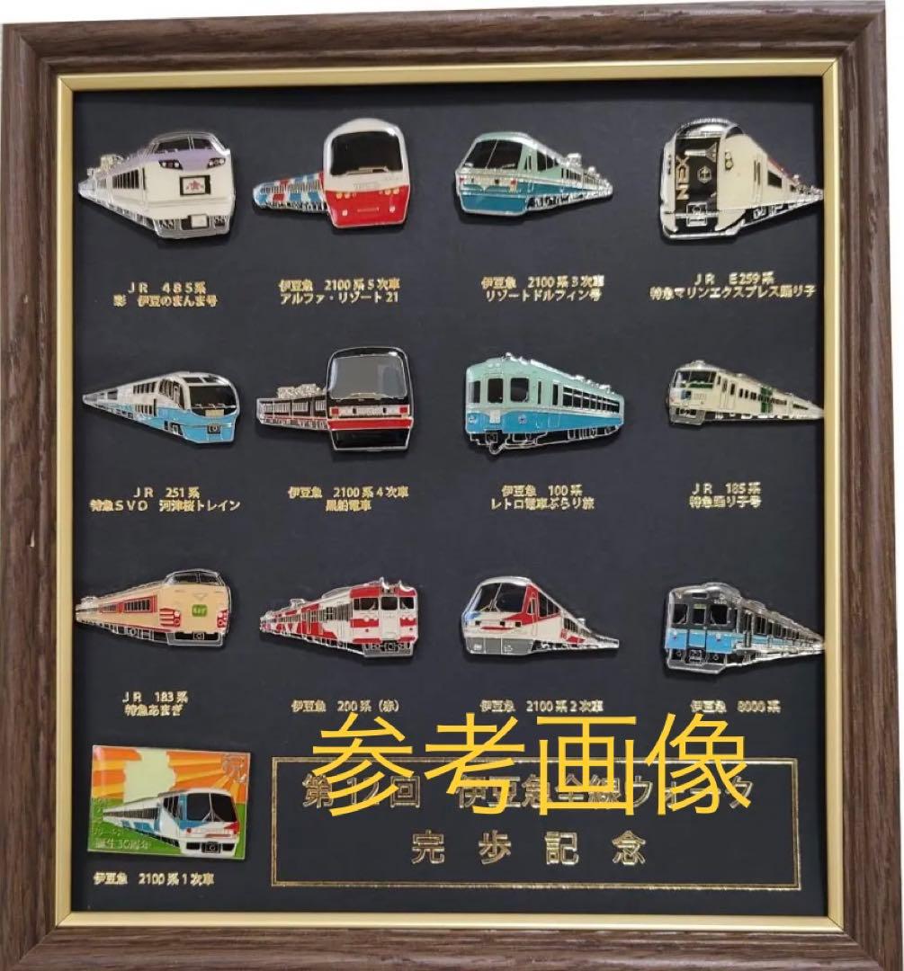【未開封品】第12回 伊豆急全線ウォーク完歩記念 ピンバッジセット 鉄道 電車
