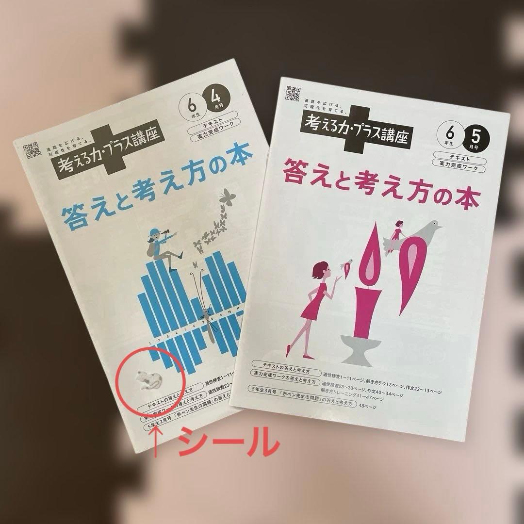 考える力・プラス講座6年生セット（8ヶ月分）