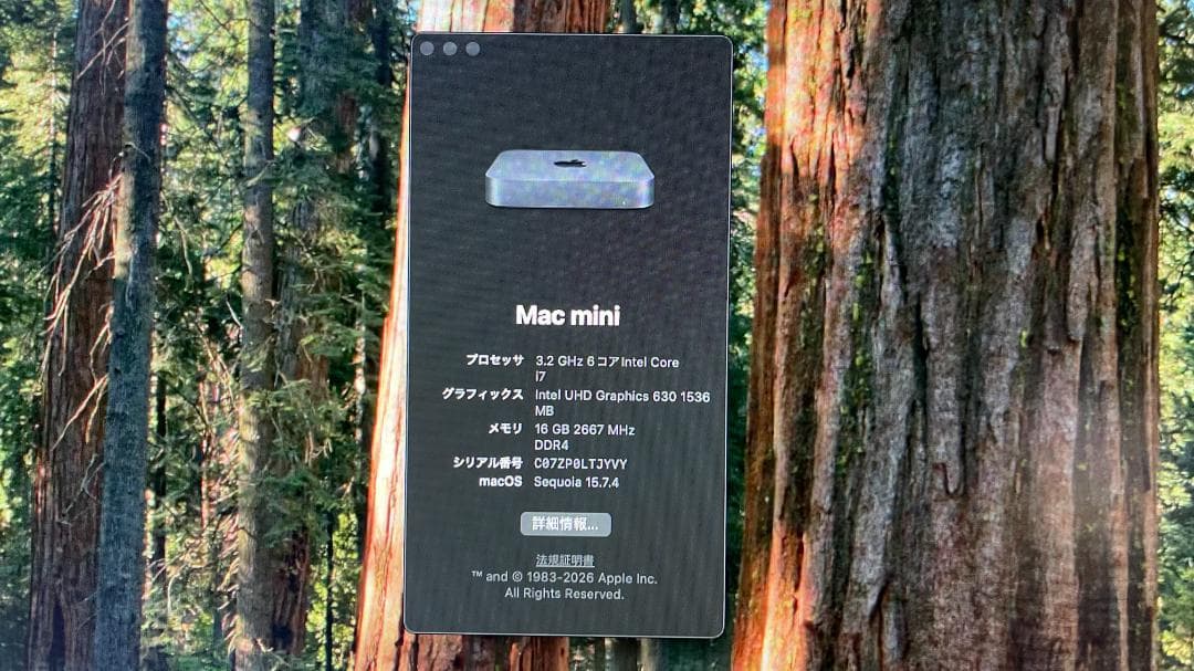 Mac mini Late2018 スペースグレイ /i7/16GB/128GB