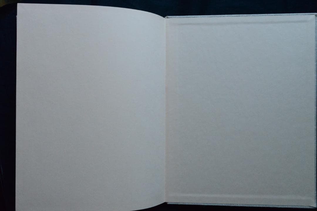 【Jack Pieroson：Self Portbait】★新品・未読品・美品