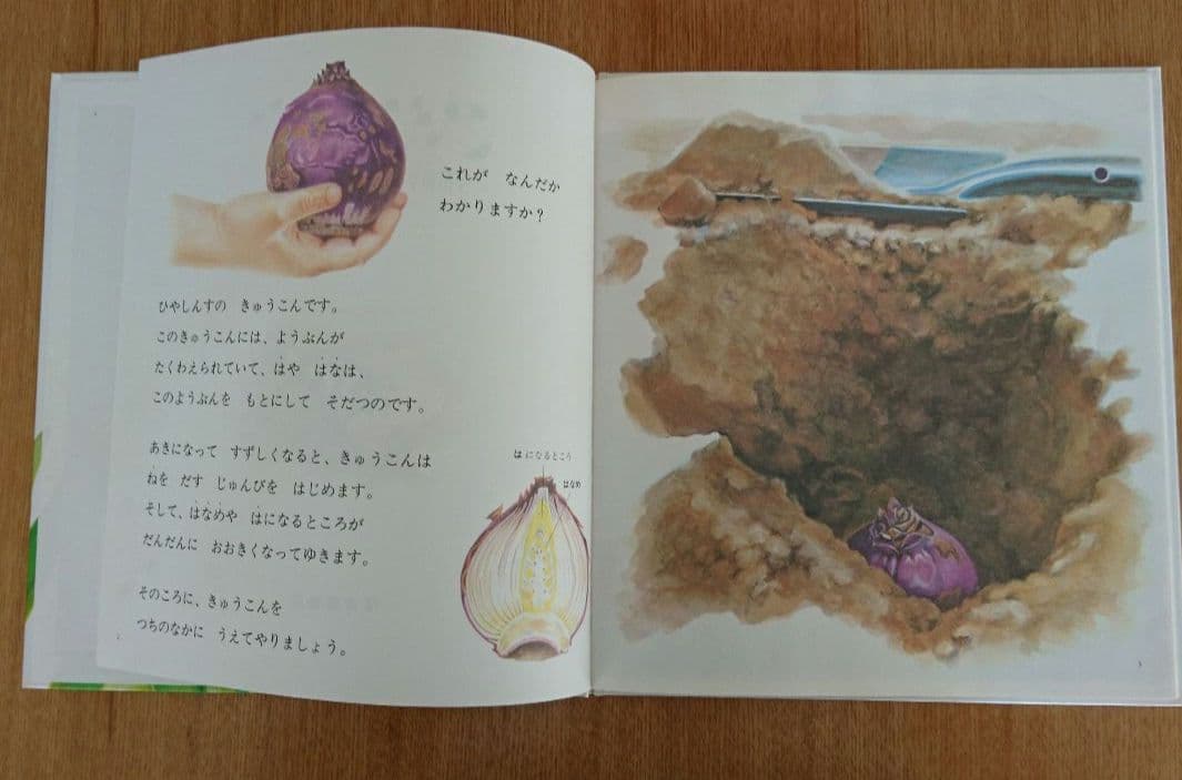 入手困難品・福音館書店「ひやしんす」