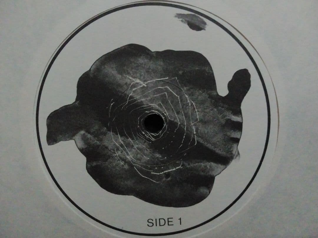 BRUCE GILBERT レコード！