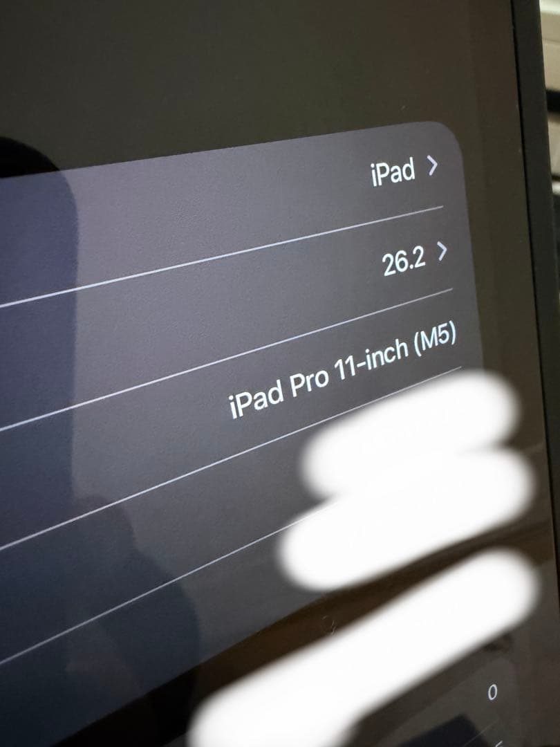 【専用出品】iPad Pro 11インチ（M5）スペースグレー＋周辺機器