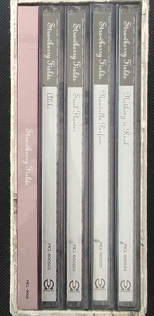 STRAWBERRY FIELDS ：FOEVER ♪90年代V系　コンプリート